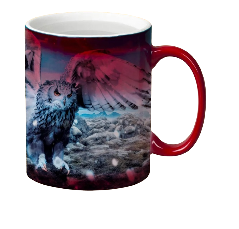 

Кружка CoolPodarok Сова на фоне иней