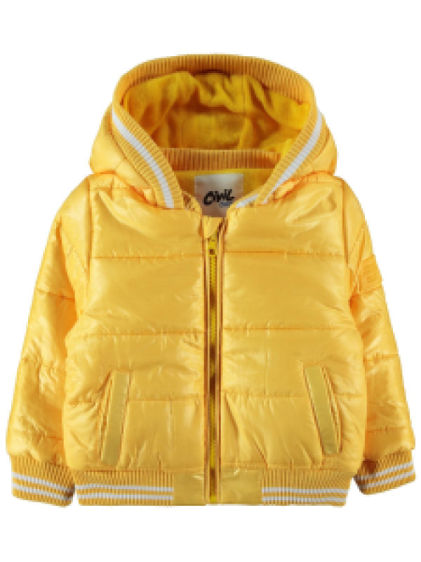 

Куртка Civil 21A112001K21-4, 4-5 лет, оранжевый (доставка из-за рубежа)
