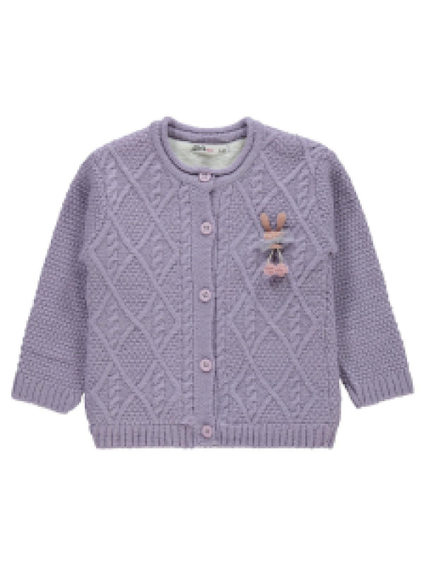 

Кофта Civil 39A683681K21, 5-6 лет, лиловый (доставка из-за рубежа)