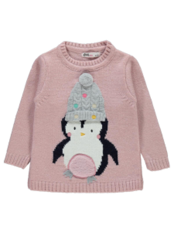 

Свитер Civil 45A687415K21-1, 5-6 лет, розовый (доставка из-за рубежа), 45A687415K21-1