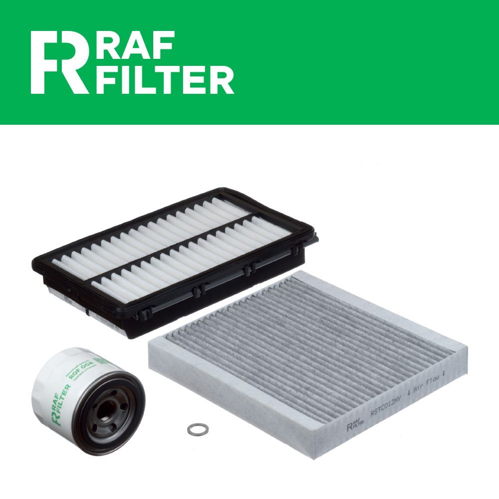 

Комплект ТО стандарт RAF Filter RT006S