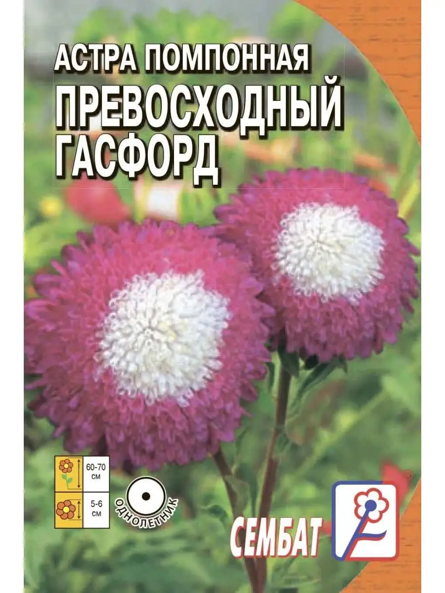 

Семена Астра Помпонная Превосходный Гасфорд 0.1г Сембат 1 упаковка, Астра
