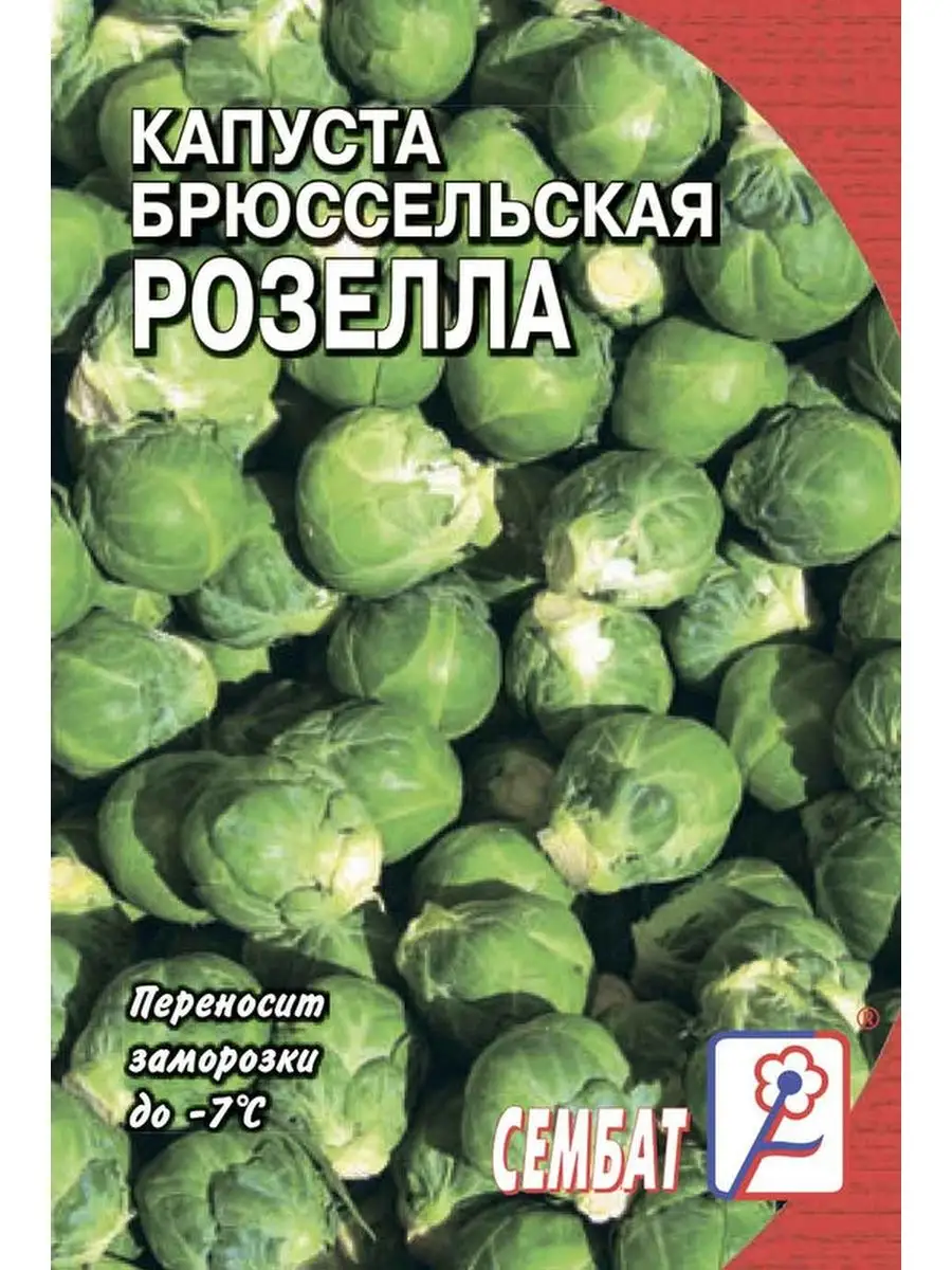 

Семена капуста брюссельская Розелла Сембат 11370 1 уп., Капуста Стандарт
