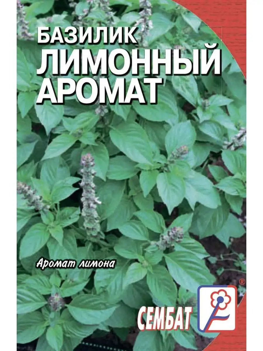 

Семена базилик зеленый Лимонный аромат Сембат 13542 1 уп., Базилик Стандарт