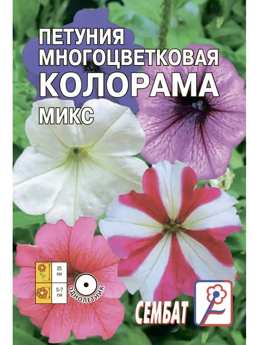 

Семена Петуния многоцветковая Колорама микс 0.05г Сембат 1 упаковка, Петуния