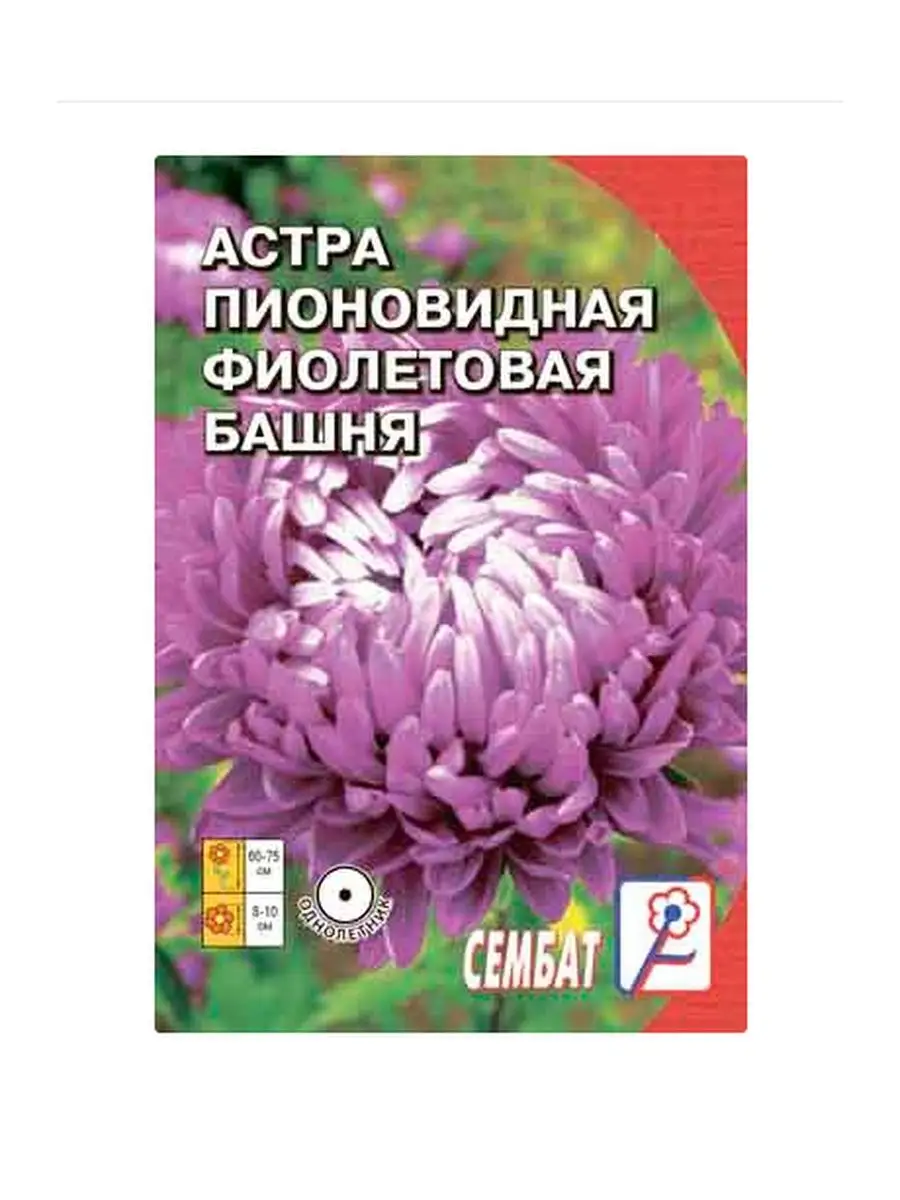 

Семена астра Фиолетовая Башня Сембат 1965 1 уп., Астра