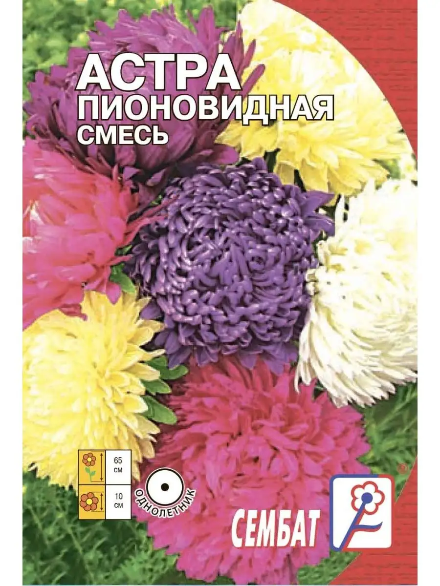 

Семена астра Смесь Сембат 1967 1 уп., Астра