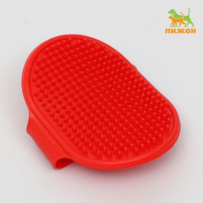 

Щётка-наладонник, красная, 12,2 х 8 см, Красный