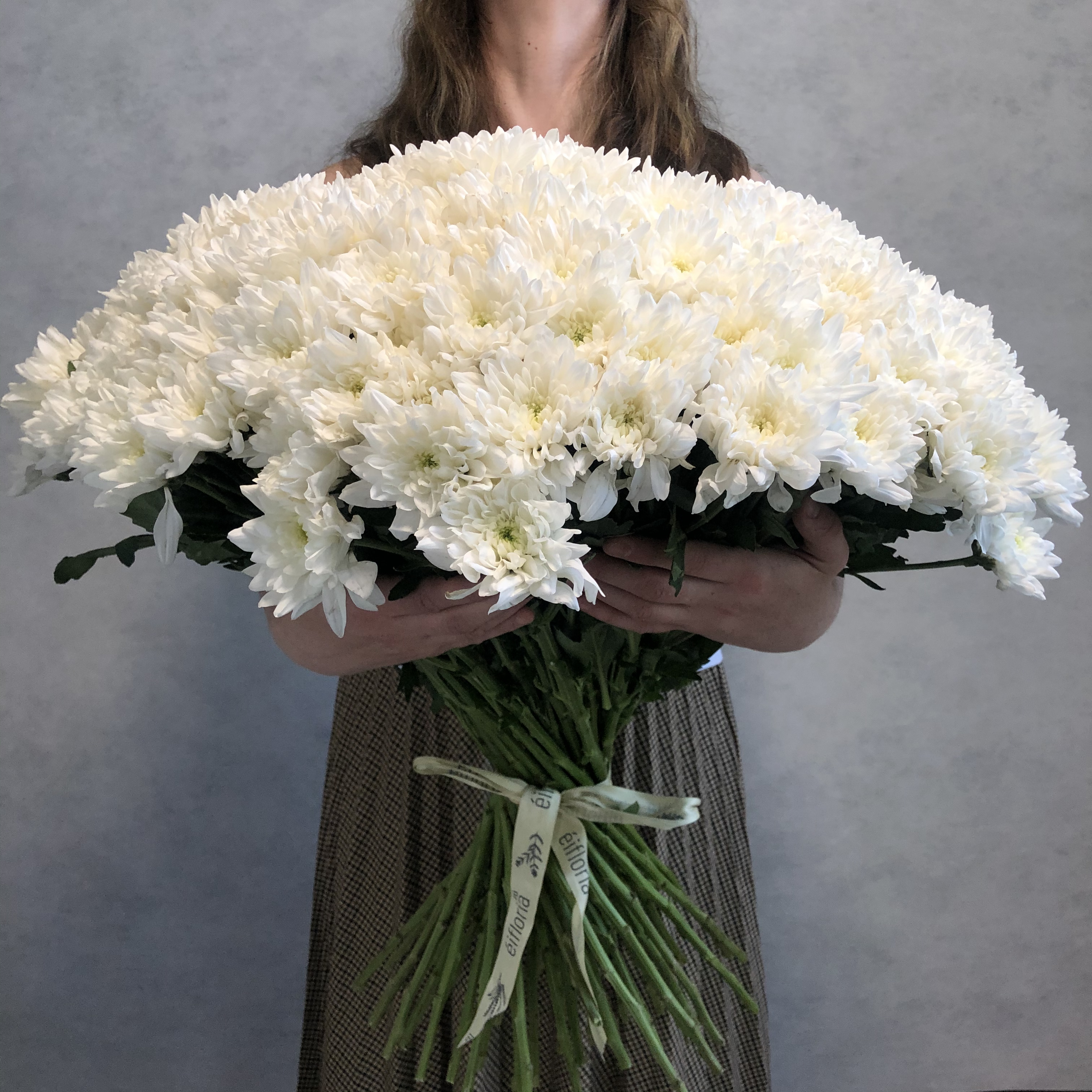 

Монобукет из 55 белой кустовой хризантемы eifloria 70 см голландия с атласной лентой, CRYZ-CKW-75514