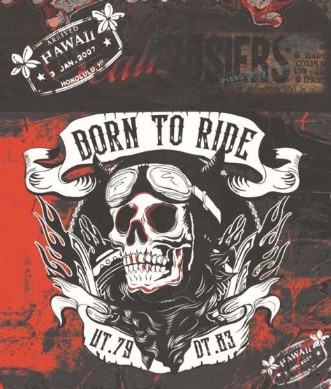 Пеньюар парикмахерский Master Professional Born To Ride, на крючках, 140х160 см