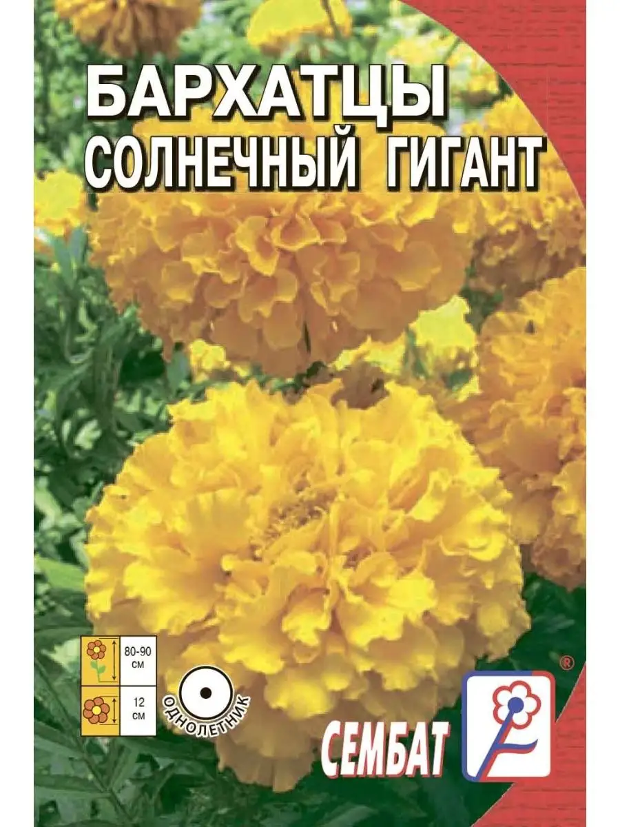 

Семена бархатцы солнечный гигант Сембат 1983 1 уп., бархатцы