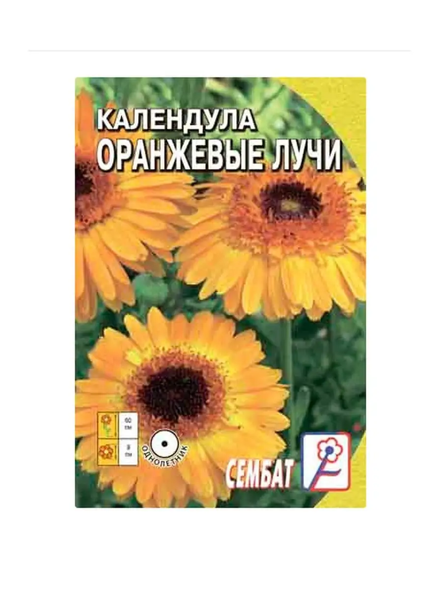 

Семена календула оранжевые лучи Сембат 1997 1 уп., Календула
