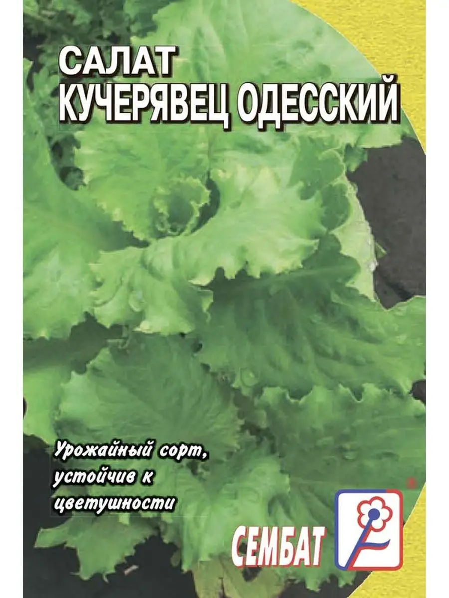 

Семена салат Кучерявец одесский Сембат 2146 1 уп., Салат Стандарт