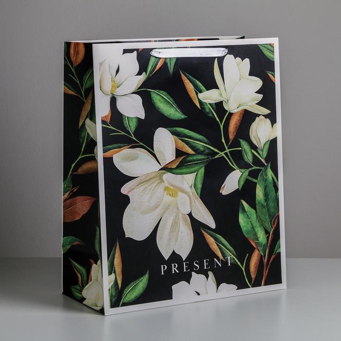 

Пакет ламинированный вертикальный Present, XL 49  40  19 см, Черный