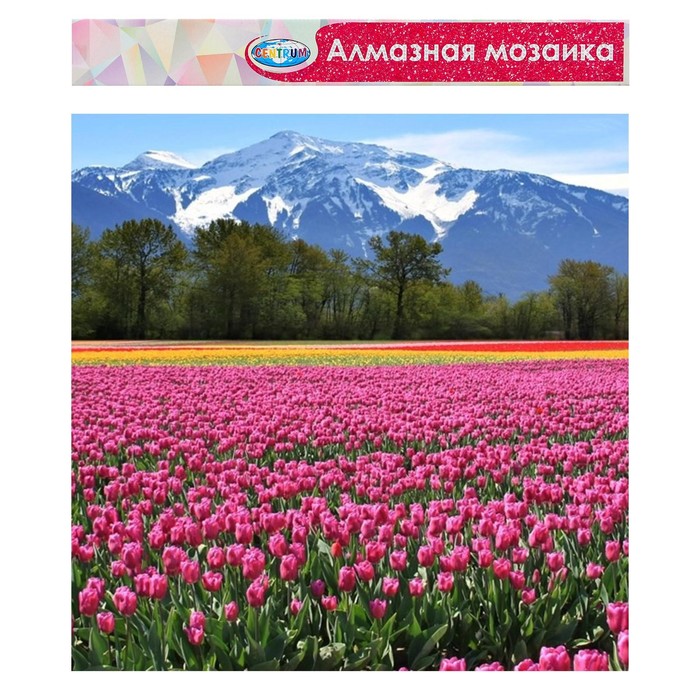 

Sima-land частичное заполнение Горный пейзаж 40х50 и наклейка