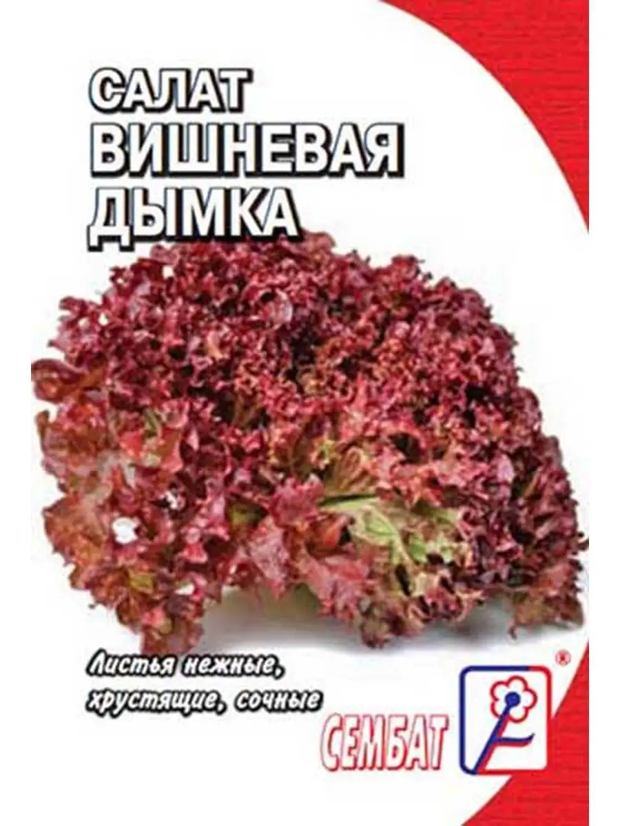 

Семена салат Вишневая дымка Сембат 25562 1 уп., Салат Стандарт