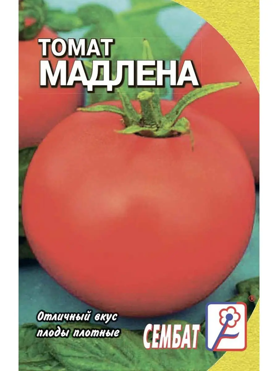 

Семена томат Сембат Мадлена 25570 1 уп., Томат Стандарт