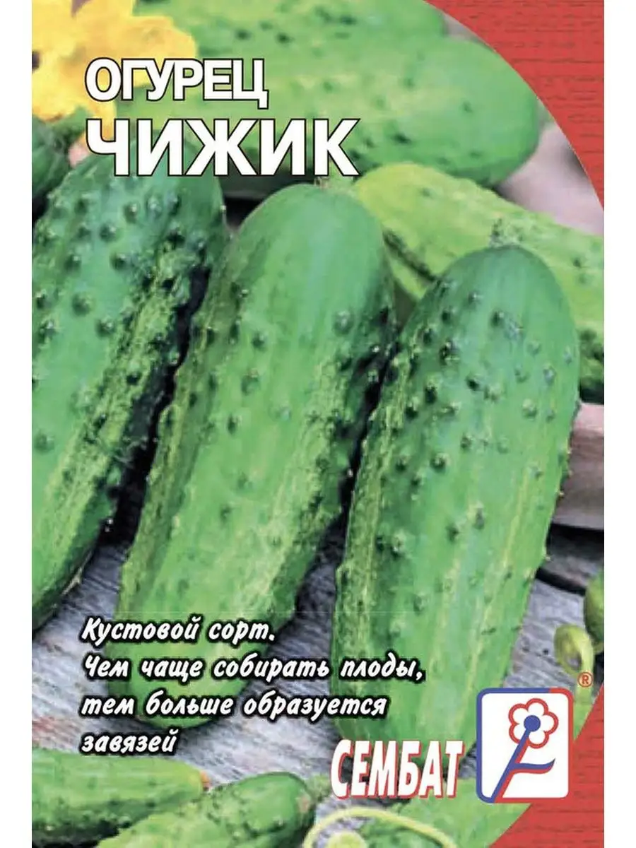 

Семена огурец Чижик Сембат 27950 1 уп., Огурец Стандарт