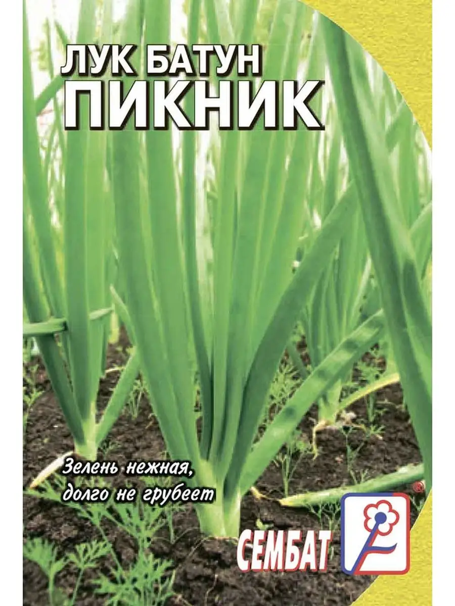 

Семена лук батун Пикник Сембат 3901 1 уп., Лук Стандарт