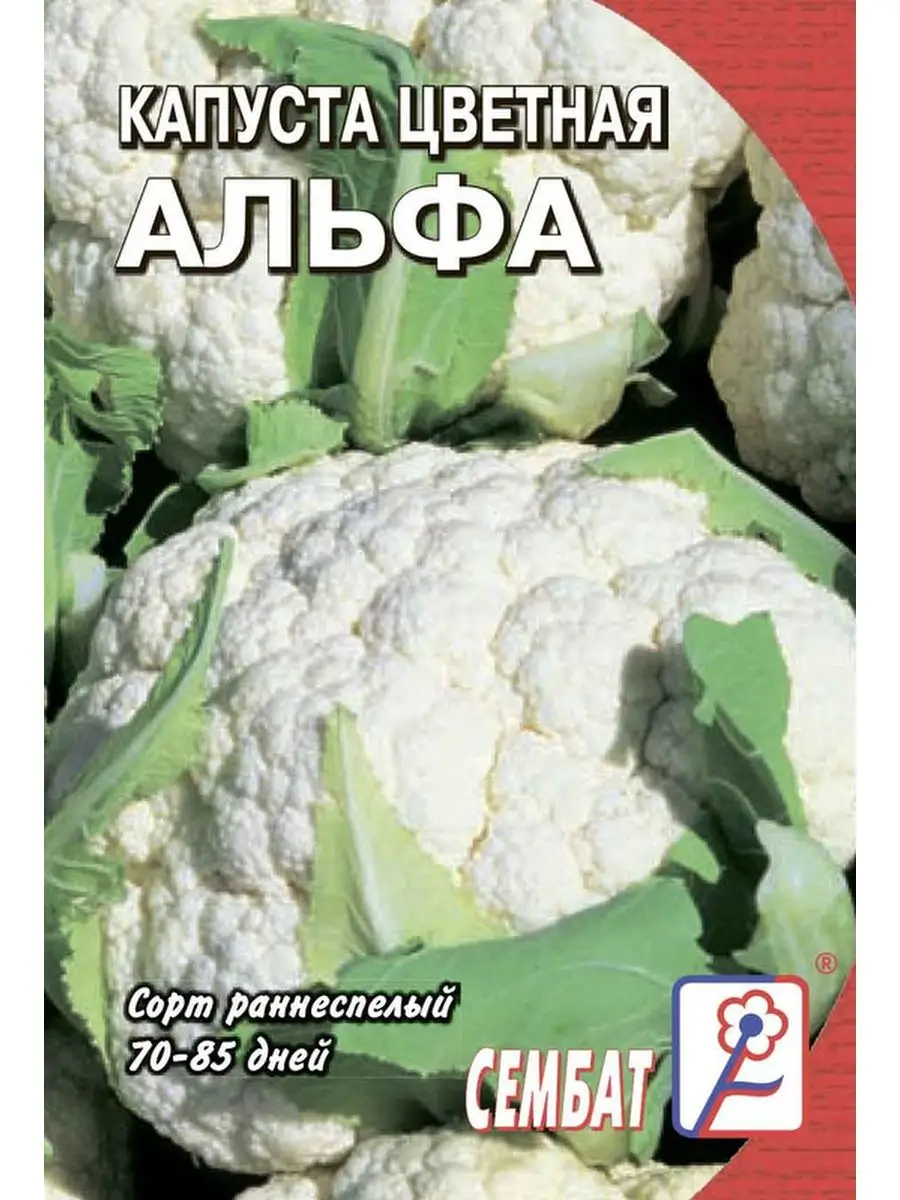 

Семена капуста цветная Альфа Сембат 3919 1 уп., Капуста Стандарт
