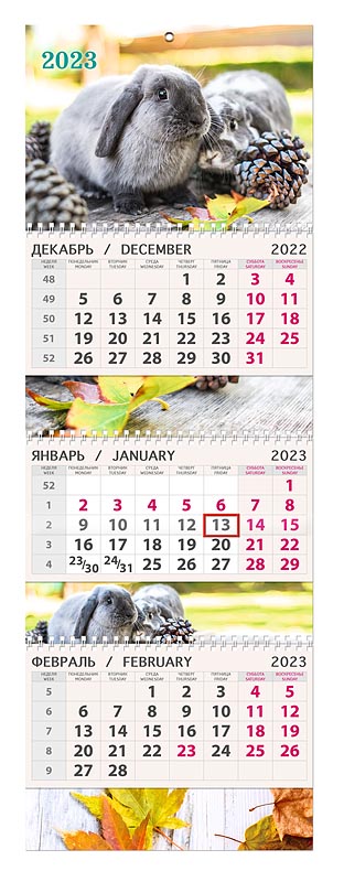 

Календарь Арт и Дизайн 0607.174 трехблочный 295х210