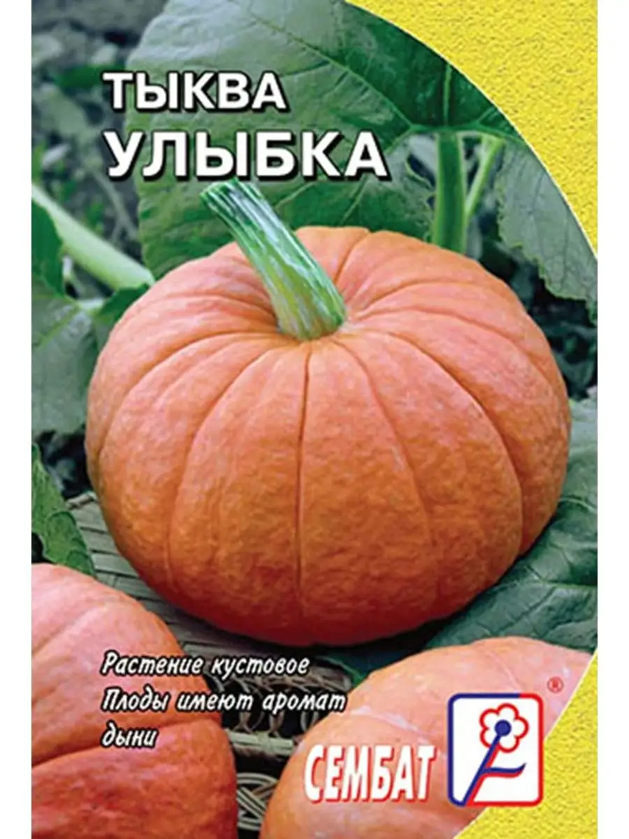 

Тыква Улыбка 2г Семена Сембат 1 упаковка, Тыква Стандарт