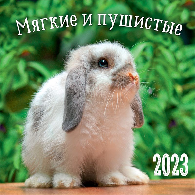 

Календарь Арт и Дизайн 0615.315 перекидной настенный 290х290 скрепка