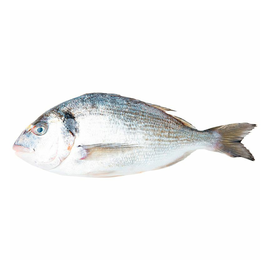 

Дорада охлажденная непотрошеная тушка