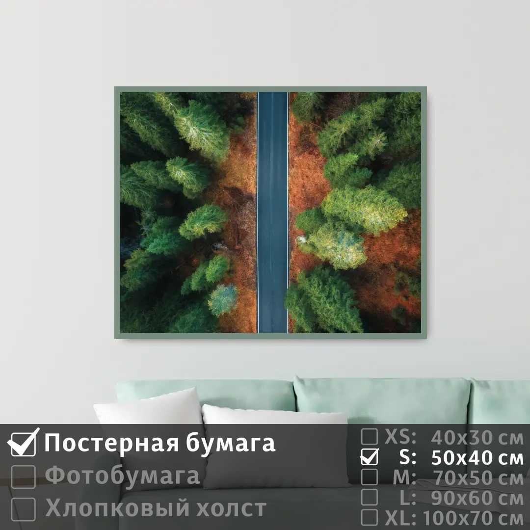 

Постер на стену ПолиЦентр Над шоссе через леса 50х40 см, НадШоссеЧерезЛеса