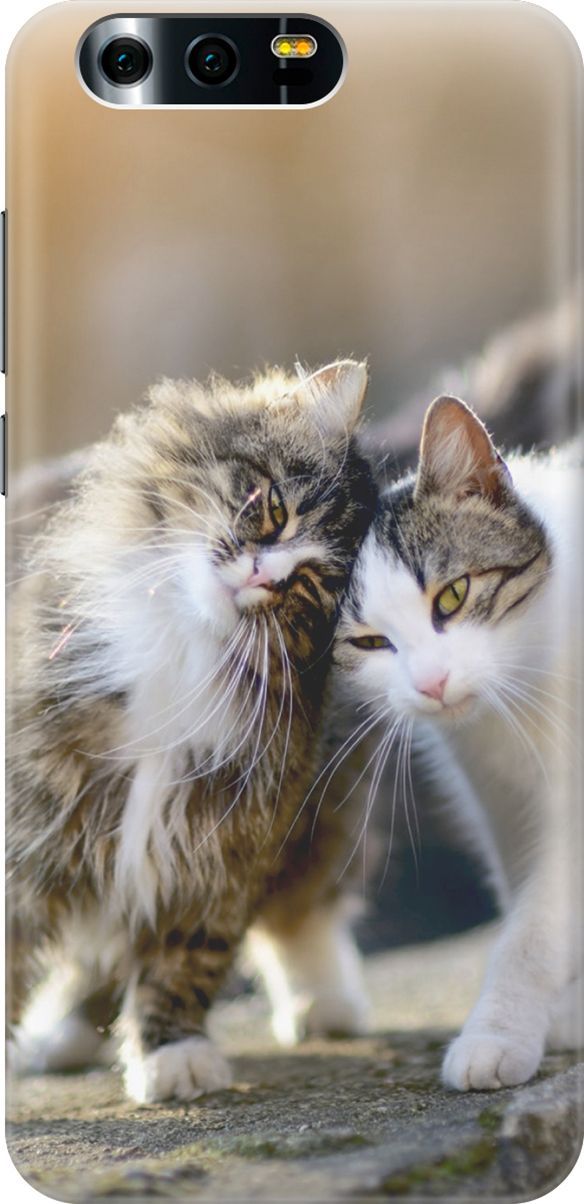 

Силиконовый чехол на Honor 9 с принтом "Ласкающиеся кошечки", Бежевый;белый, 2762