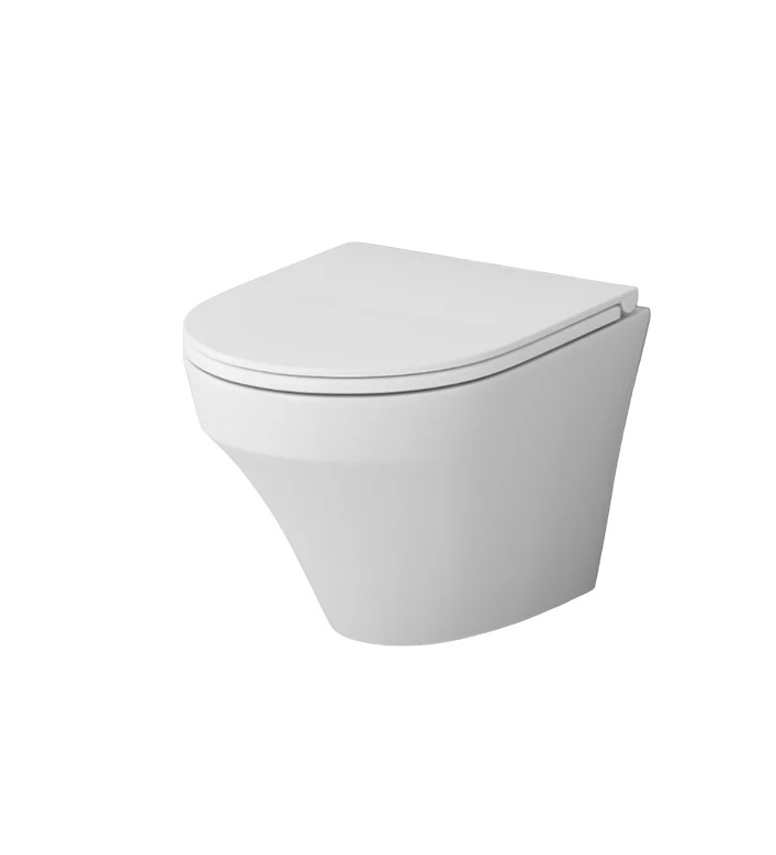 

Унитаз подвесной AM.PM Inspire C501700SC безободковый, с быстросъемным сиденьем, Белый