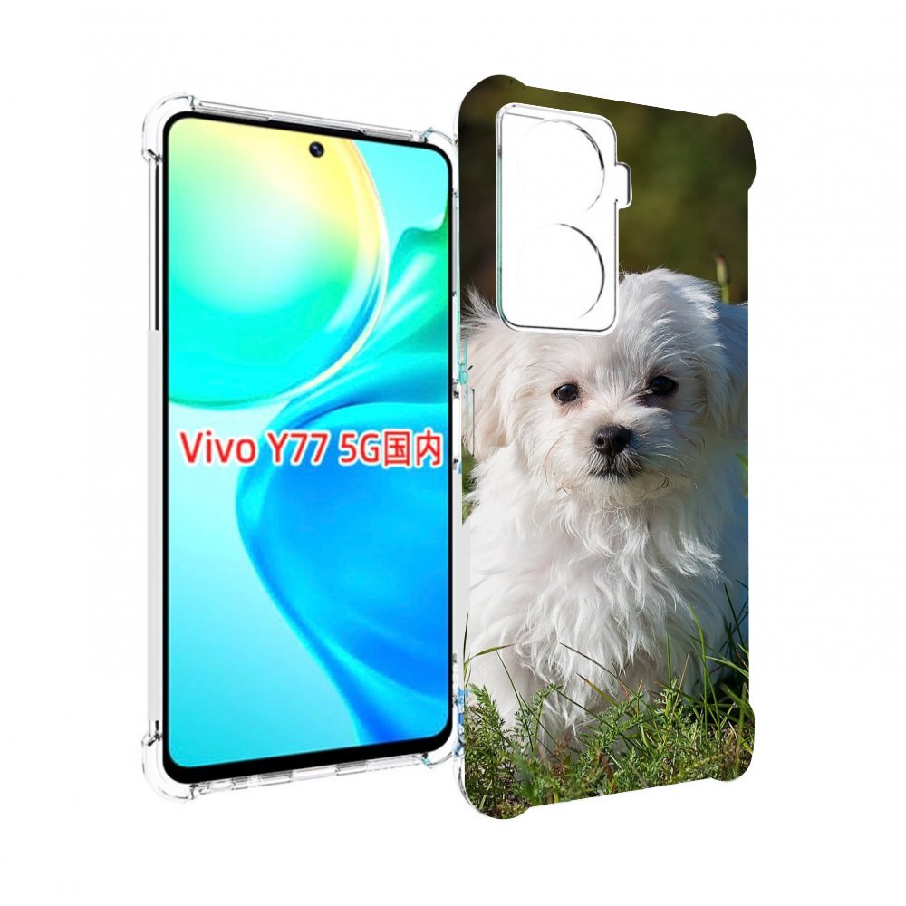

Чехол MyPads мальтииская-болонка для Vivo Y77 5G, Прозрачный, Tocco
