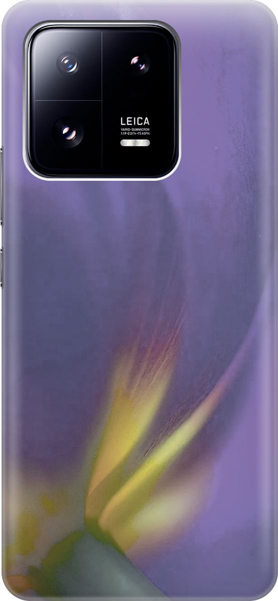 

Силиконовый чехол на Xiaomi 13 Pro Про с принтом "Фиолетовая фиалка", Желтый;фиолетовый, 158966
