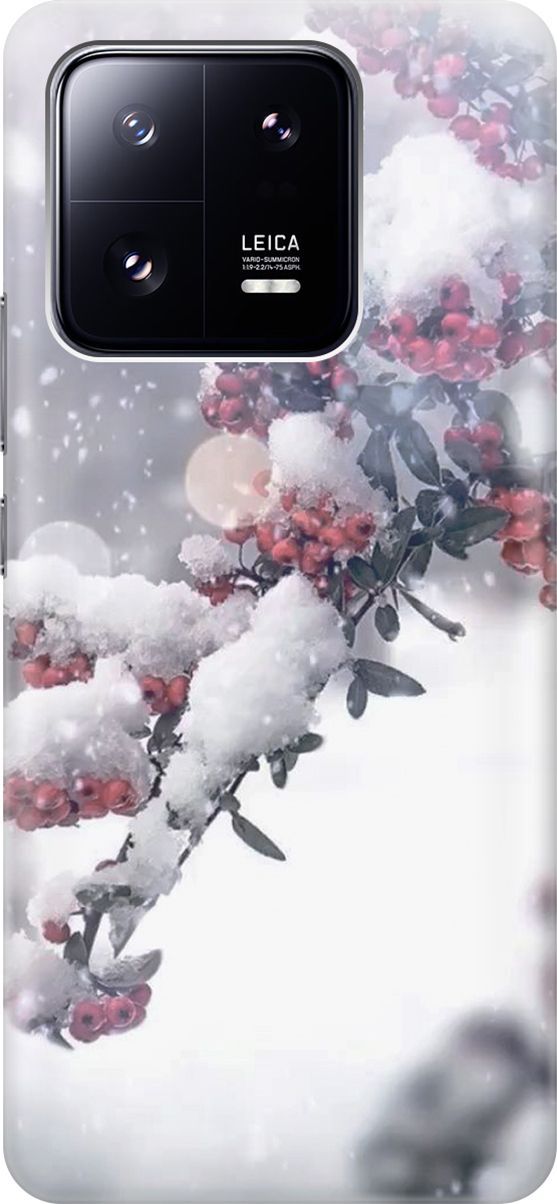 Силиконовый чехол на Xiaomi 13 Pro Про с принтом 