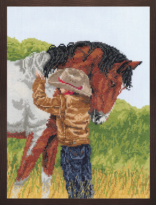 Набор для вышивания Janlynn Любимый конь арт.008 0209