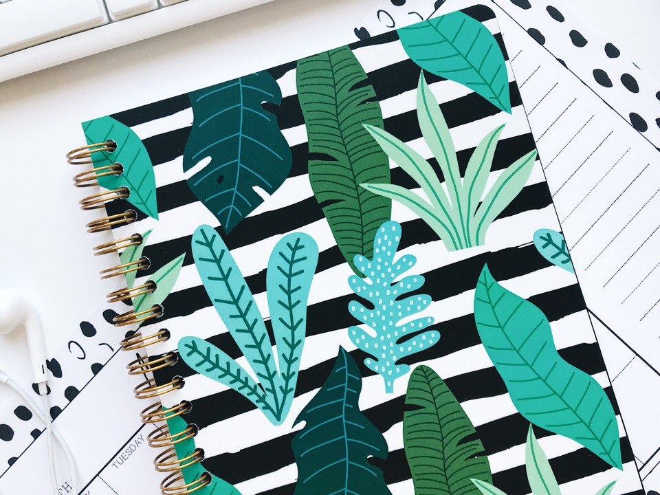 фото Скетчбук unicorn sketchbooks "stripes & leafs", а5 nobrand