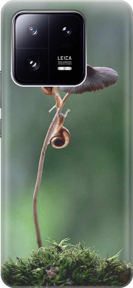 

Силиконовый чехол на Xiaomi 13 Pro Про с принтом "Две улитки", Зеленый;коричневый, 158967