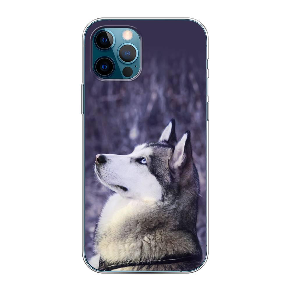 

Чехол на Apple iPhone 12 "Хаски 1", Фиолетовый;белый, 12850-1