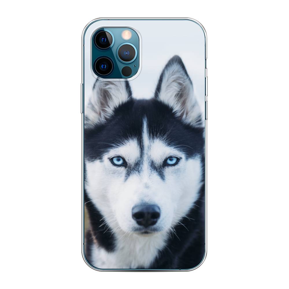 

Чехол на Apple iPhone 12 "Хаски 2", Синий;белый, 12850-1
