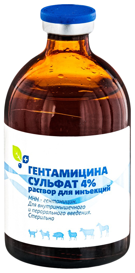 Гентамицин БИОХИМФАРМ 4% 100 мл