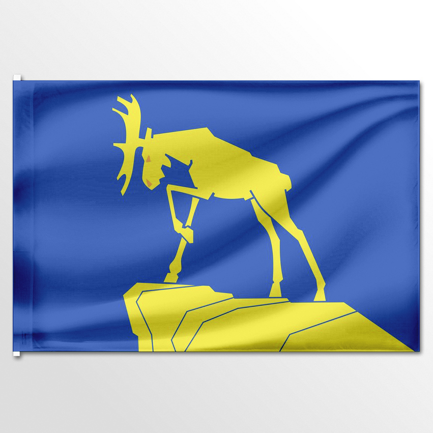

Флаг ЦТП ФЕНИКС Миасса 135x90 см, 2793-135x90