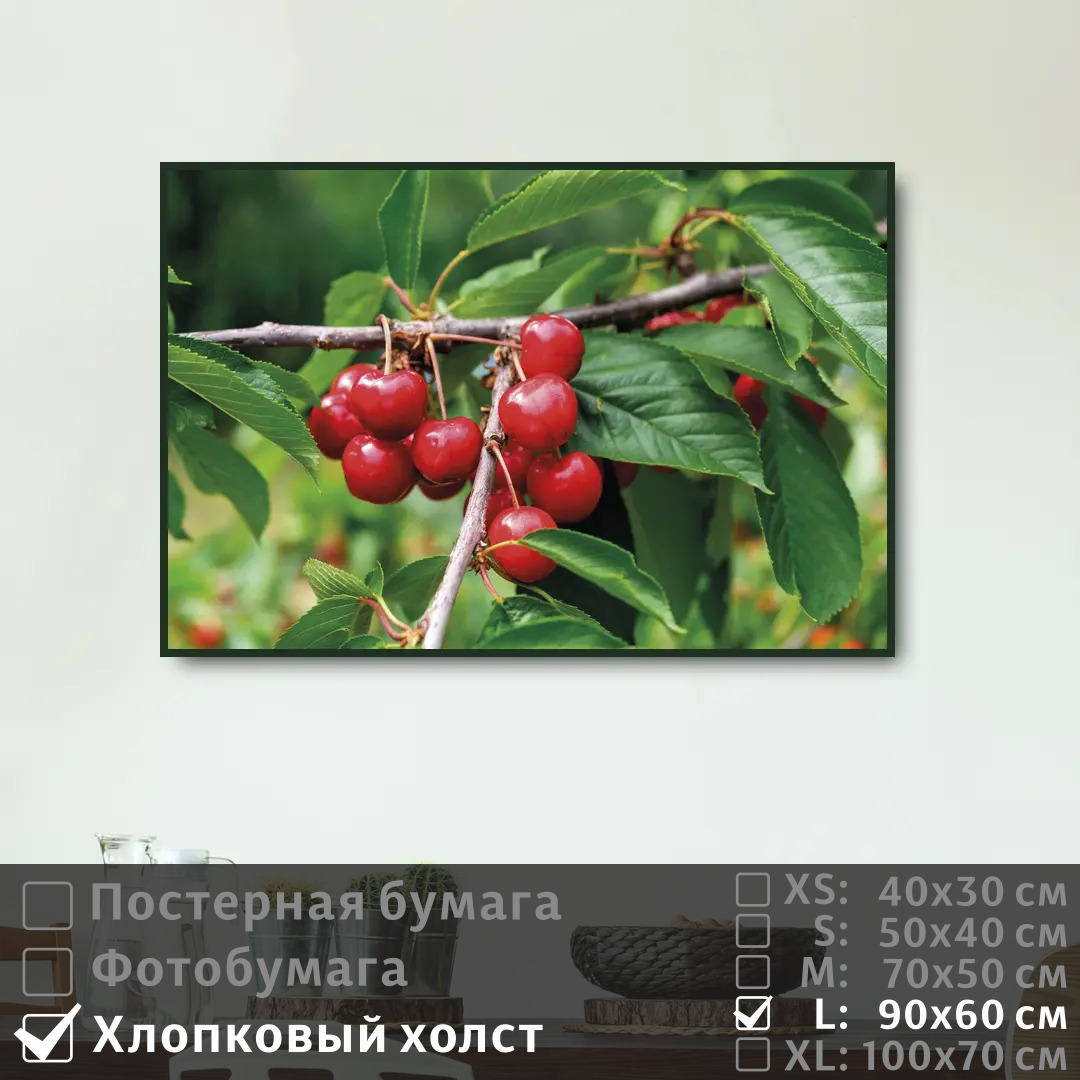 

Постер на холсте ПолиЦентр Летняя ветка вишни 90х60 см, ЛетняяВеткаВишни