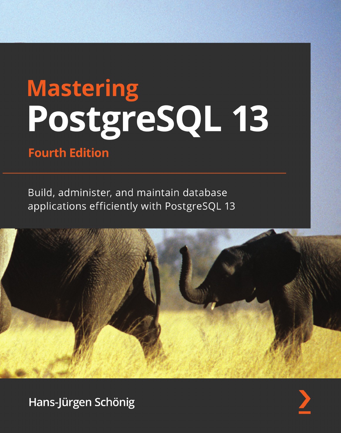 

Mastering PostgreSQL 13