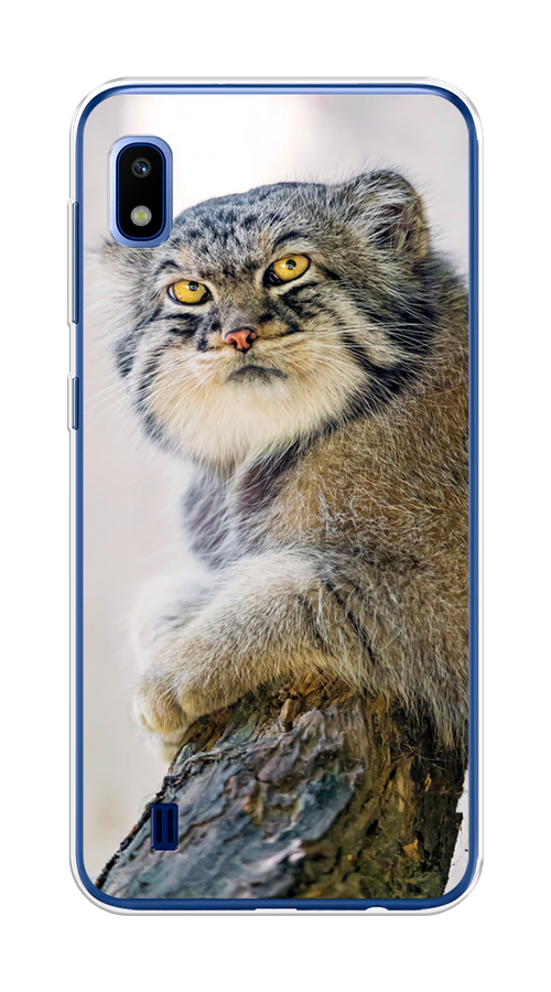 

Чехол на Samsung Galaxy A10 "Кот манул 1", Серый;белый;желтый, 27950-1