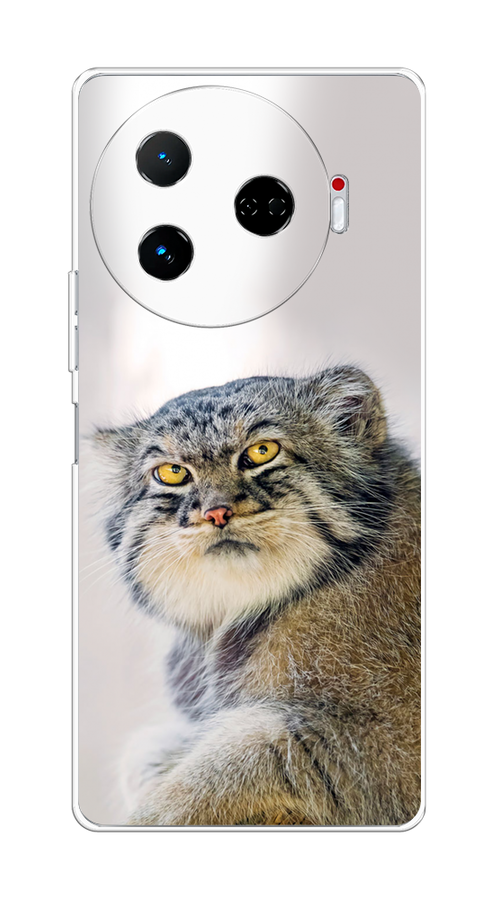 

Чехол на Tecno Camon 30 Pro 5G "Кот манул 1", Серый;белый;желтый, 305150-1