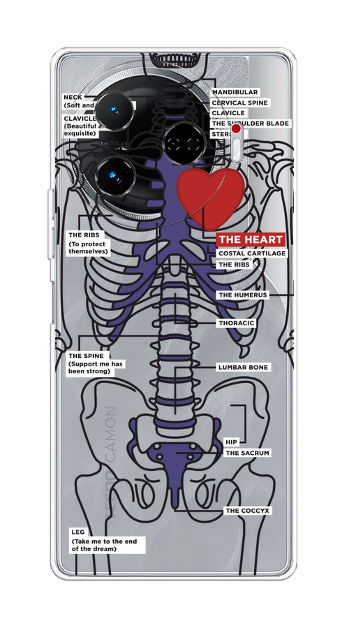 

Чехол на Tecno Camon 30 Pro 5G "Скелет человека", Прозрачный;синий;красный, 305150-1