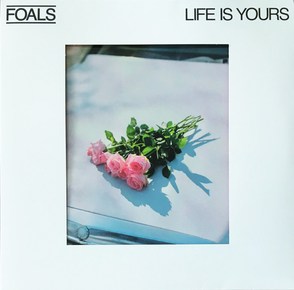 

Foals Life Is Yours