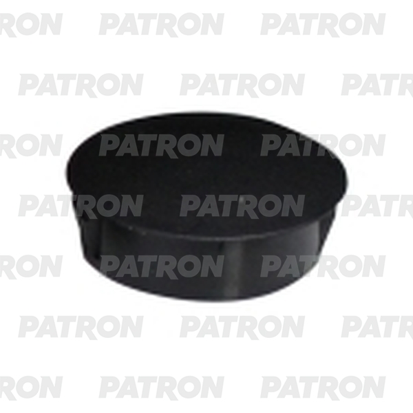 PATRON P37-2858T Заглушка пластиковая универсальная 30X34.2Xx12 Mm  10шт