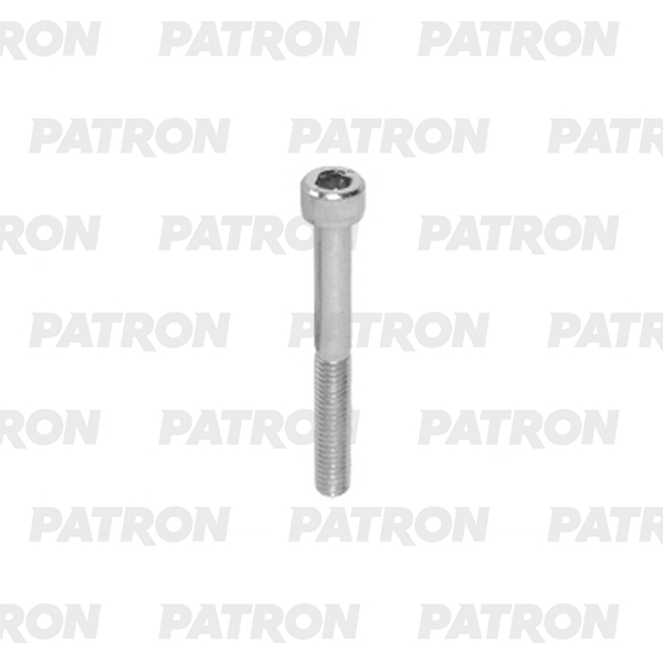

PATRON P37-3012T Болт металлический имбус болт универсальный M6X55 10шт