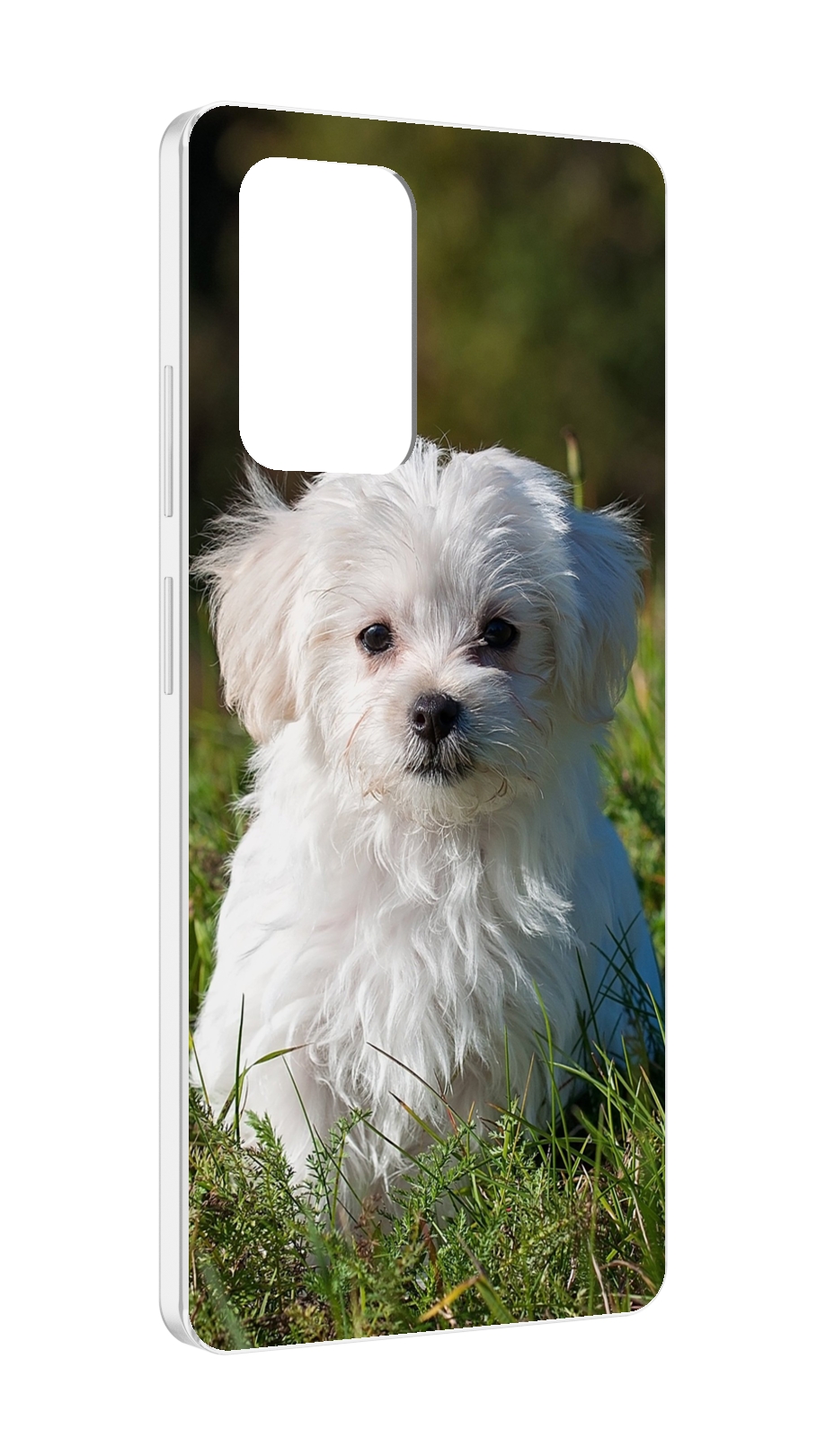 

Чехол MyPads мальтииская-болонка для ZTE Blade V40 Pro, Tocco